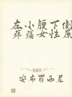 左小腹下侧隐隐疼痛女性原因