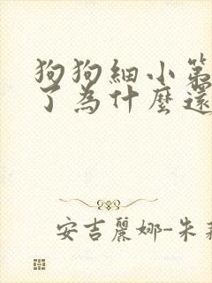 狗狗细小第七天了为什么还不吃东西