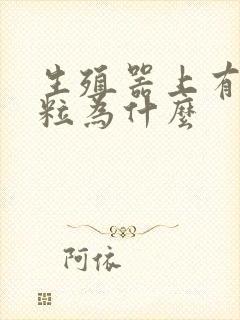 生殖器上有小肉粒为什么