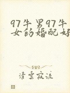 97牛男97牛女的婚配好吗
