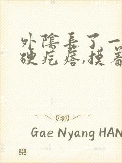 外阴长了一个小硬疙瘩,摸着硬硬的,还疼