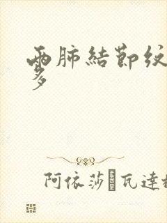 两肺结节纹理增多