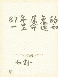 87年属兔的人一生命运如何