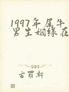 1997年属牛男生姻缘在哪年