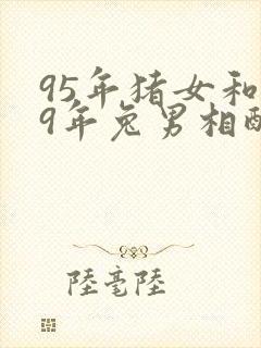 95年猪女和99年兔男相配婚姻如何