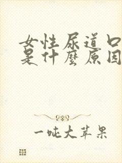 女性尿道口疼痛是什么原因