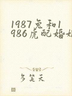 1987兔和1986虎配婚姻好不好封面