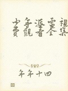 少年派电视剧免费观看全集完整版