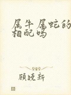 属牛属蛇的婚姻相配吗