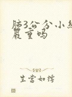 肺3公分小结节严重吗