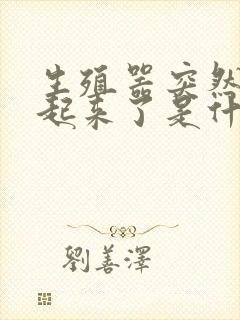 生殖器突然硬不起来了是什么原因