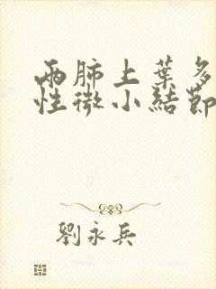 两肺上叶多发实性微小结节