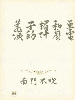 叶子楣和单立文演的什么电影?