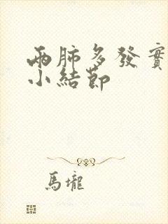 两肺多发实性微小结节