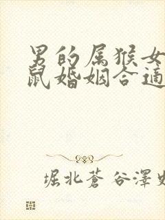 男的属猴女的属鼠婚姻合适吗