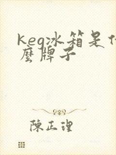 keg冰箱是什么牌子封面