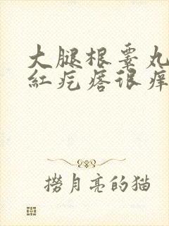 大腿根睾丸两侧红疙瘩很痒