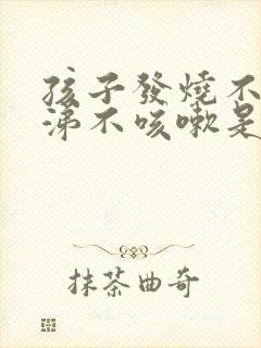 孩子发烧不流鼻涕不咳嗽是什么原因封面