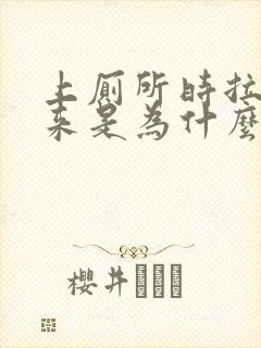 上厕所时拉出血来是为什么