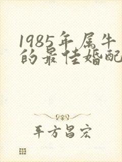 1985年属牛的最佳婚配表