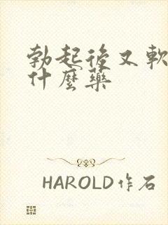 勃起后又软了吃什么药