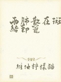 两肺散在斑点,结节灶