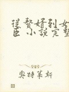 从赘婿到女帝宠臣 小说完整