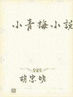 小青梅小说封面