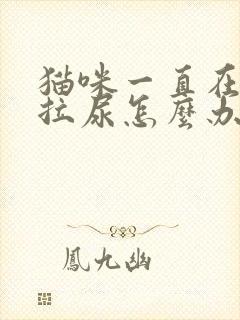 猫咪一直在床上拉尿怎么办