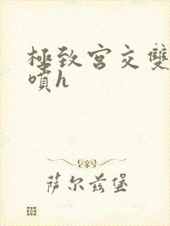 极致宫交双性潮喷h