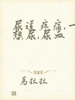 尿道疼痛,一直想尿,尿血