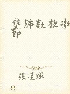 双肺数枚微小结节