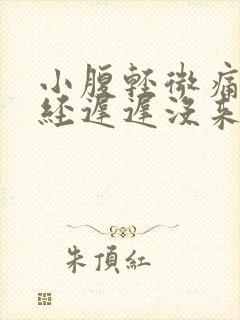 小腹轻微痛但月经迟迟没来