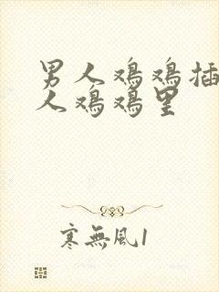 男人鸡鸡插进女人鸡鸡里