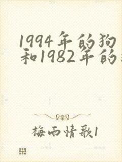 1994年的狗和1982年的狗相配吗?