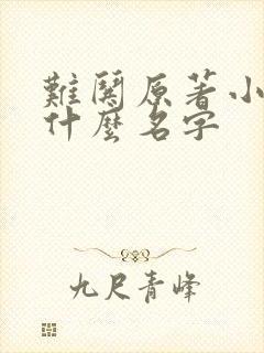 难哄原著小说叫什么名字