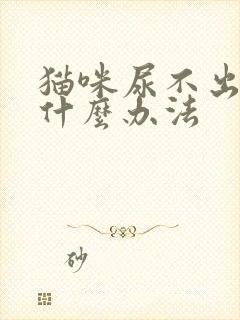 猫咪尿不出来有什么办法