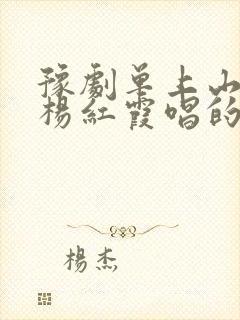 豫剧单上山伴奏杨红霞唱的封面