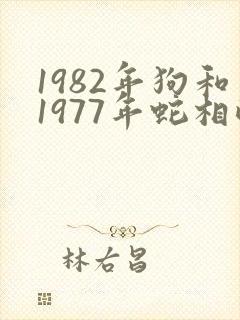 1982年狗和1977年蛇相配吗