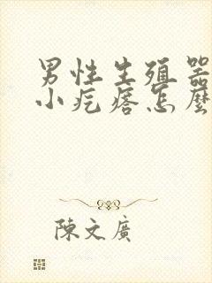 男性生殖器处有小疙瘩怎么回事