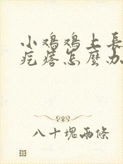 小鸡鸡上长个小疙瘩怎么办封面