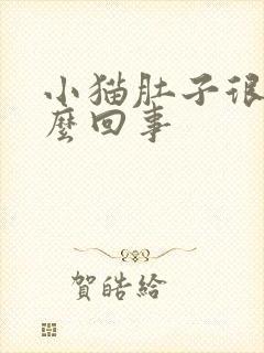 小猫肚子很大怎么回事