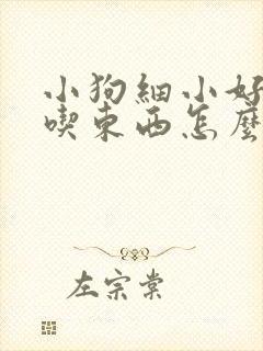 小狗细小好了不吃东西怎么办