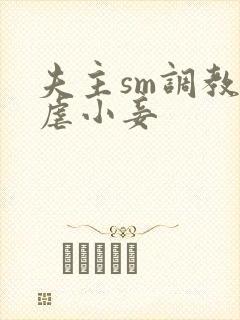 夫主sm调教狠虐小妾封面