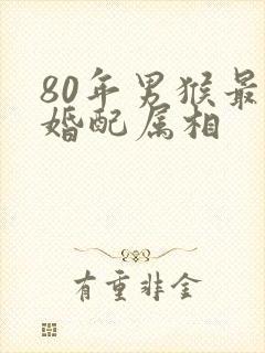 80年男猴最佳婚配属相