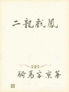二龙戏凤