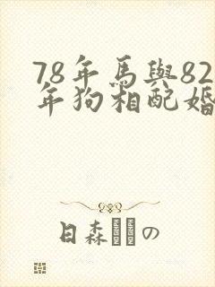 78年马与82年狗相配婚姻如何