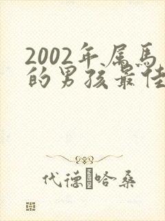 2002年属马的男孩最佳配偶