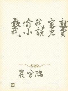 敢偷我家就别怪我小说免费阅读