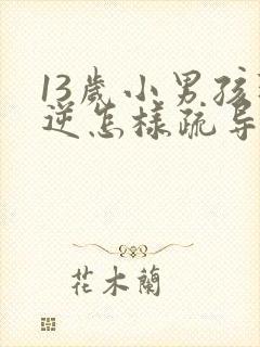 13岁小男孩叛逆怎样疏导